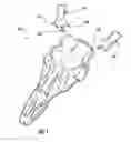 Fig. 02 - Skull mount for use in skull mounting