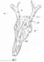 Fig. 04 - Skull mount for use in skull mounting