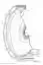 Fig. 05 - Wheel and tire assembly