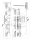Fig. 08 - Look ahead vehicle suspension system
