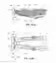 Fig. 12 - Saddle type vehicle