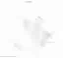 Fig. 03 - Structure for mounting rear camera for vehicle