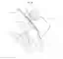 Fig. 07 - Structure for mounting rear camera for vehicle