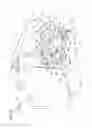 Fig. 10 - Vehicle body front structure
