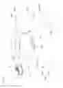 Fig. 05 - Occupant protection apparatus