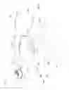 Fig. 08 - Occupant protection apparatus