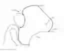 Fig. 01 - Airbag