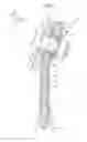Fig. 03 - ANCHOR FOR SEATBELT DEVICE