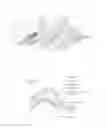 Fig. 03 - APPARATUS AND METHOD OF CONTROLLING AUTOMATIC DRIVING OF VEHICLE