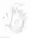 Fig. 02 - Vehicle-body front structure