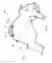 Fig. 09 - Straddle-type vehicle