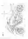 Fig. 02 - Leaning vehicle with wheel speed sensor