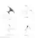 Fig. 07 - Peripheral tunnels propeller with alternative balance