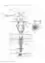 Fig. 07 - Beverage brewing product