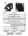 Fig. 02 - Synthesis method for controlling antimony selenide nanostructure shapes