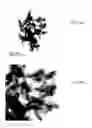 Fig. 07 - Producing calcium phosphate compositions