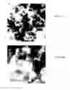 Fig. 08 - Producing calcium phosphate compositions