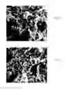 Fig. 09 - Producing calcium phosphate compositions