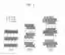Fig. 02 - MXene nanosheet and manufacturing method thereof