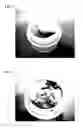 Fig. 02 - Precious metal clay regeneration solution and method for regenerating precious metal clay
