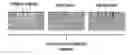 Fig. 01 - ROBUST CEMENTITIOUS MATERIALS WITH MOBILE LIQUID-INFUSED BARRIER LAYER