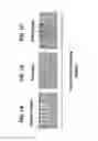 Fig. 02 - ROBUST CEMENTITIOUS MATERIALS WITH MOBILE LIQUID-INFUSED BARRIER LAYER