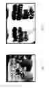 Fig. 37 - Nutrient rich compositions