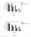 Fig. 08 - PHARMACEUTICAL COMPOSITIONS COMPRISING MONOTERPENES