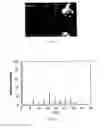 Fig. 04 - (2S,4R)-5-(5′-chloro-2′-fluorobiphenyl-4-yl)-4-(ethoxyoxalylamino)-2-hydroxmethyl-2-methylpentanoic acid