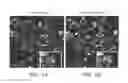 Fig. 02 - IDENTIFICATION OF COMPOUNDS THAT DISPERSE TDP-43 INCLUSIONS
