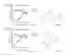 Fig. 04 - IDENTIFICATION OF COMPOUNDS THAT DISPERSE TDP-43 INCLUSIONS