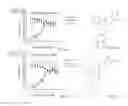 Fig. 05 - IDENTIFICATION OF COMPOUNDS THAT DISPERSE TDP-43 INCLUSIONS