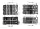Fig. 13 - IDENTIFICATION OF COMPOUNDS THAT DISPERSE TDP-43 INCLUSIONS