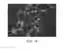 Fig. 15 - IDENTIFICATION OF COMPOUNDS THAT DISPERSE TDP-43 INCLUSIONS