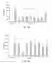 Fig. 21 - IDENTIFICATION OF COMPOUNDS THAT DISPERSE TDP-43 INCLUSIONS