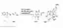 Fig. 02 - α-glucosidase inhibitors