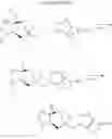 Fig. 08 - Heterocyclic compound