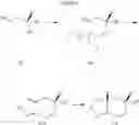 Fig. 16 - N-[2-(2-amino-6,6-disubstituted-4,4a,5,6-tetrahydropyrano[3,4-d][1,3]thiazin-8a(8H)-yl)-1,3-thiazol-4-yl]amides