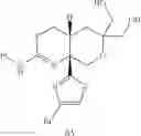 Fig. 20 - N-[2-(2-amino-6,6-disubstituted-4,4a,5,6-tetrahydropyrano[3,4-d][1,3]thiazin-8a(8H)-yl)-1,3-thiazol-4-yl]amides