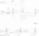 Fig. 23 - N-[2-(2-amino-6,6-disubstituted-4,4a,5,6-tetrahydropyrano[3,4-d][1,3]thiazin-8a(8H)-yl)-1,3-thiazol-4-yl]amides