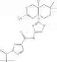 Fig. 55 - N-[2-(2-amino-6,6-disubstituted-4,4a,5,6-tetrahydropyrano[3,4-d][1,3]thiazin-8a(8H)-yl)-1,3-thiazol-4-yl]amides
