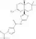 Fig. 56 - N-[2-(2-amino-6,6-disubstituted-4,4a,5,6-tetrahydropyrano[3,4-d][1,3]thiazin-8a(8H)-yl)-1,3-thiazol-4-yl]amides