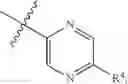 Fig. 93 - N-[2-(2-amino-6,6-disubstituted-4,4a,5,6-tetrahydropyrano[3,4-d][1,3]thiazin-8a(8H)-yl)-1,3-thiazol-4-yl]amides