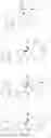 Fig. 22 - Compounds that inhibit Mcl-1 protein