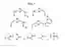 Fig. 02 - Polydentate ligands and their complexes for molecular catalysis
