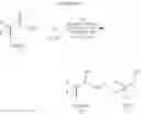 Fig. 149 - Polydentate ligands and their complexes for molecular catalysis