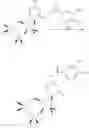 Fig. 63 - Gemcitabine analogs