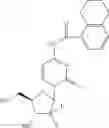 Fig. 80 - Gemcitabine analogs