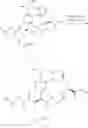 Fig. 554 - Macrocyclic broad spectrum antibiotics