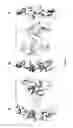 Fig. 03 - NOVEL CRYSTAL STRUCTURE AND LIGAND BINDING SITES OF TRAIL RECEPTOR